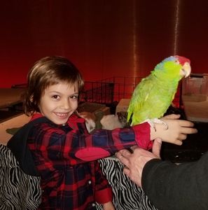 Meet your Posher, Ana